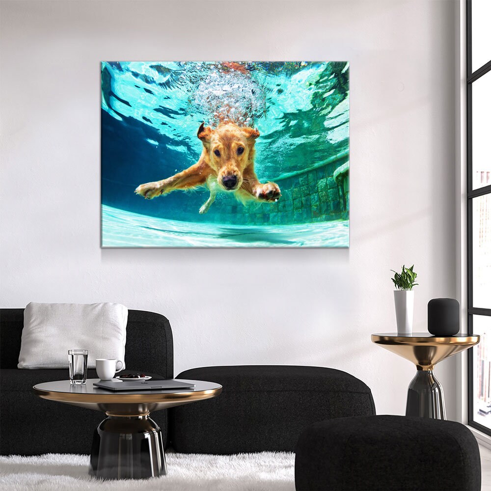Golden Labrador Retriever Canvas Wall Art, Diving Under Water, Swimming Pool, Dog Gift, Golden Lab Print, Dog In Water - Royal Crown Pro