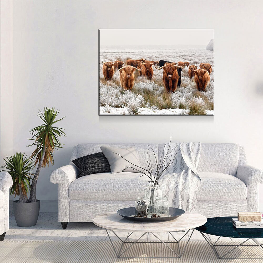 Highland Cows Canvas Wall Art, Ranch Art, XL Wall Art, Ranch Style Home Decor, Scottish Cows, Scottish Highlanders - Royal Crown Pro