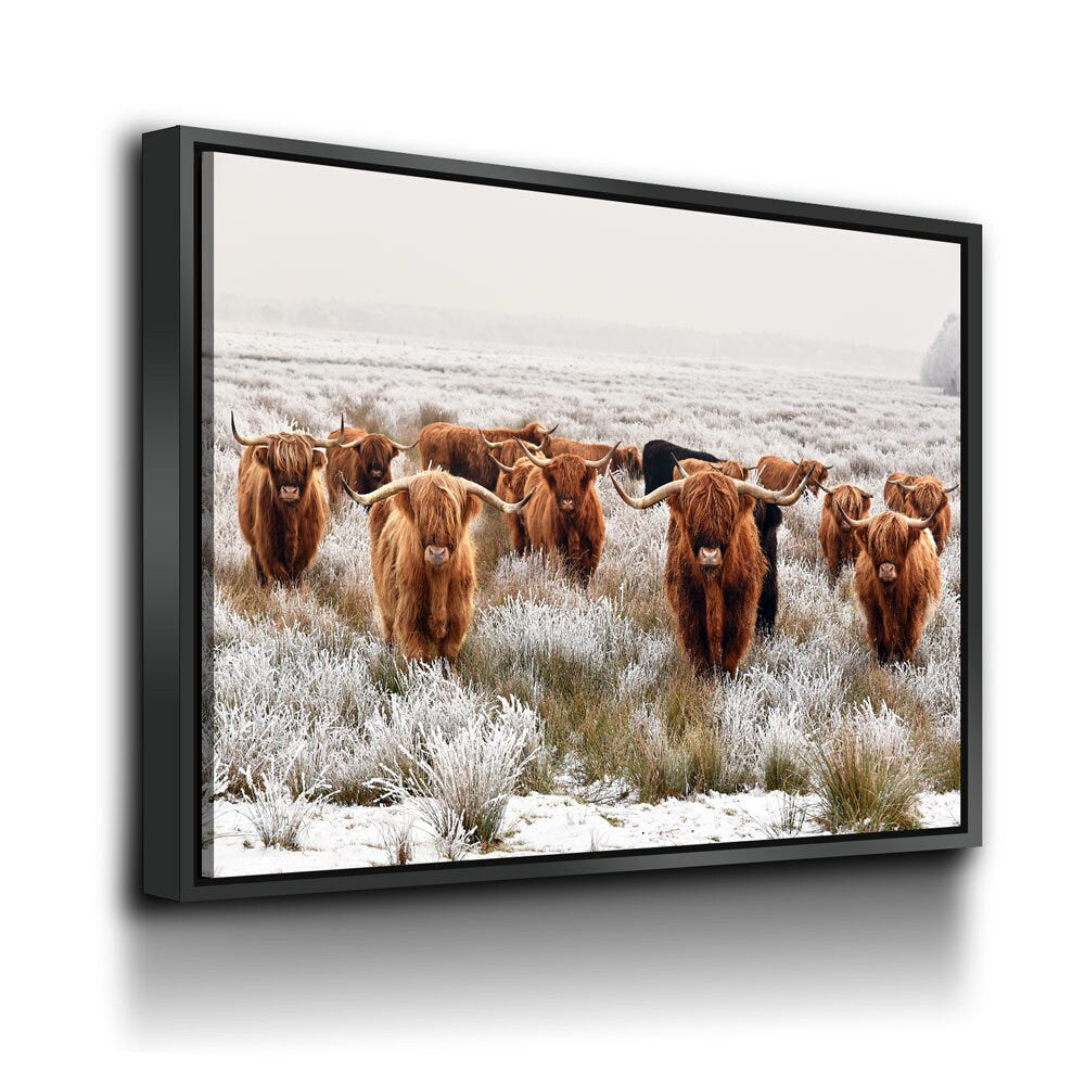 Highland Cows Canvas Wall Art, Ranch Art, XL Wall Art, Ranch Style Home Decor, Scottish Cows, Scottish Highlanders - Royal Crown Pro