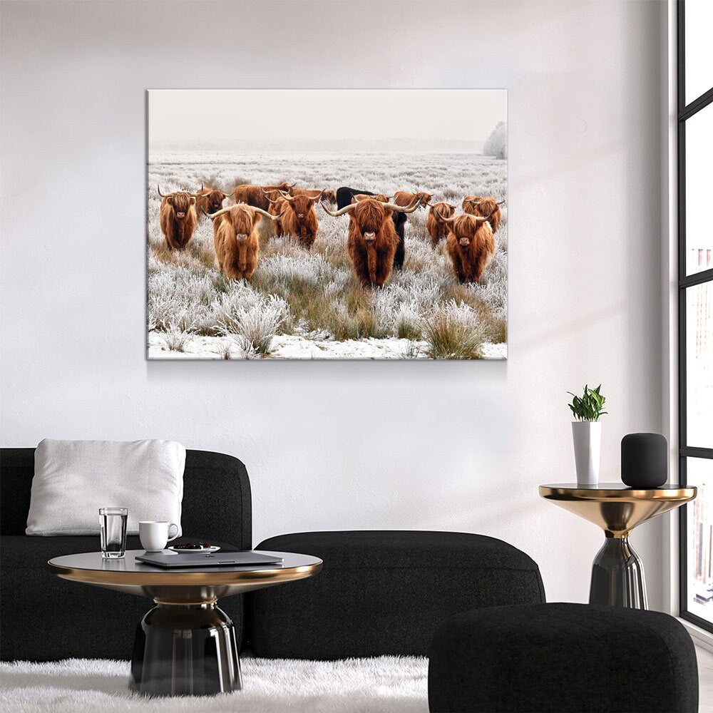 Highland Cows Canvas Wall Art, Ranch Art, XL Wall Art, Ranch Style Home Decor, Scottish Cows, Scottish Highlanders - Royal Crown Pro