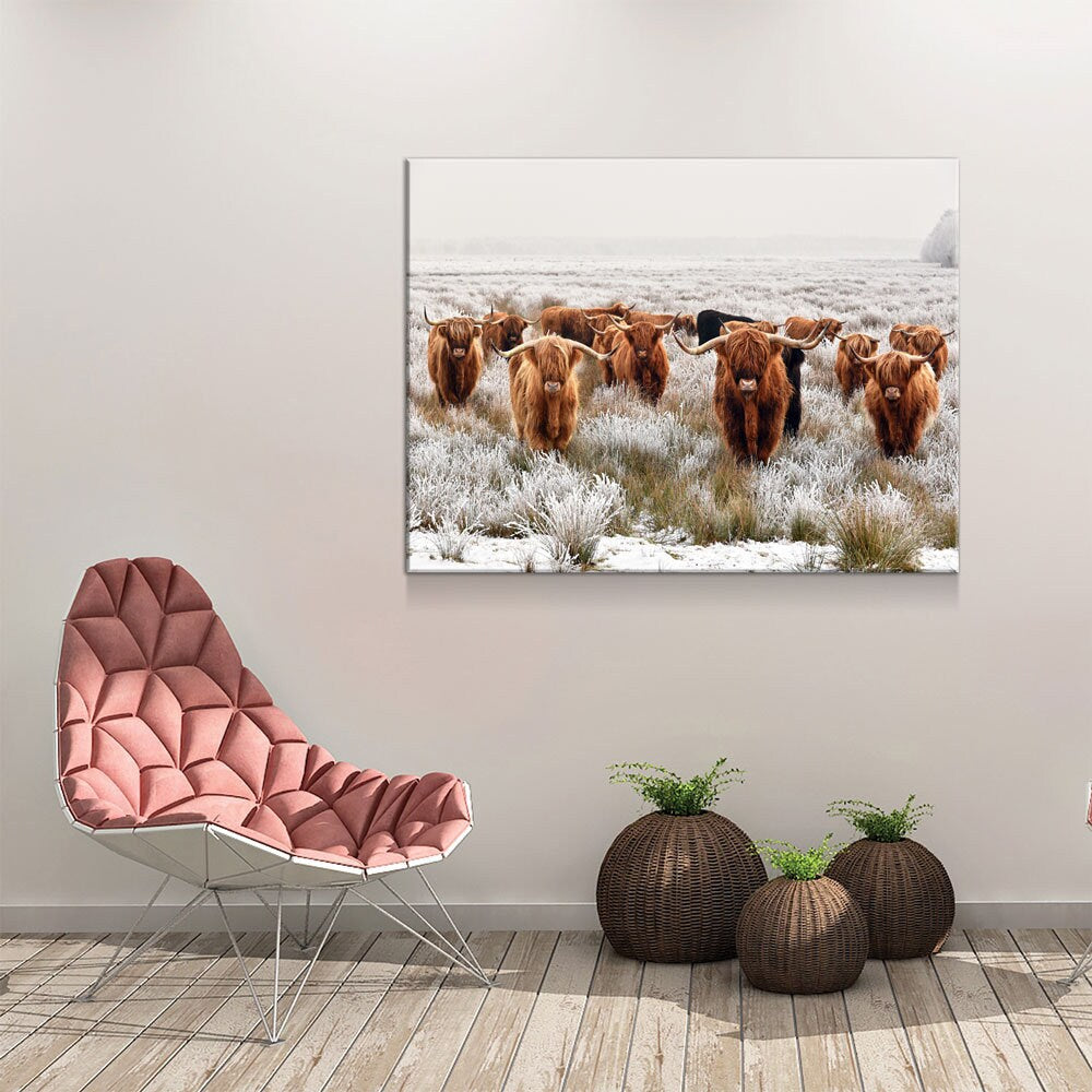 Highland Cows Canvas Wall Art, Ranch Art, XL Wall Art, Ranch Style Home Decor, Scottish Cows, Scottish Highlanders - Royal Crown Pro
