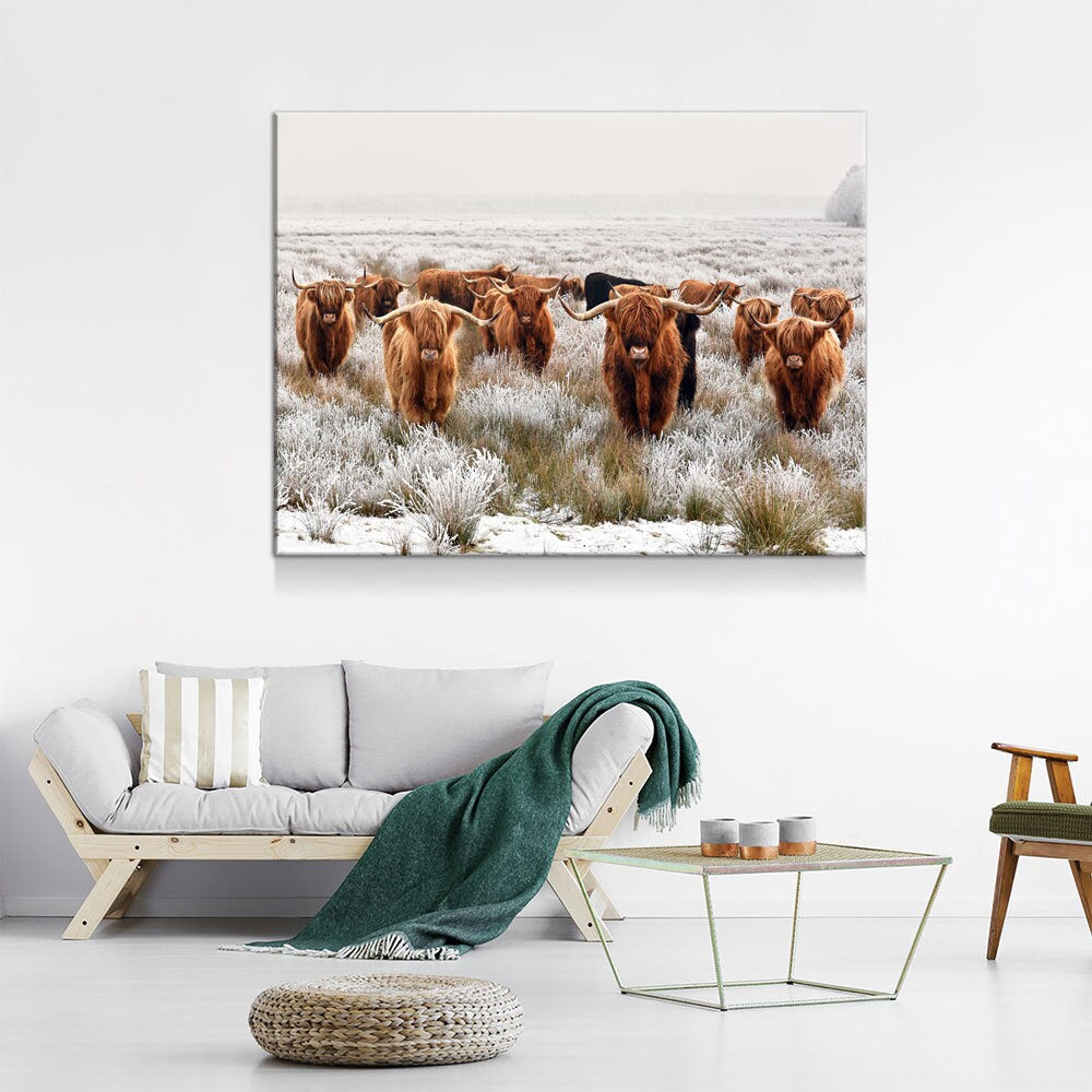 Highland Cows Canvas Wall Art, Ranch Art, XL Wall Art, Ranch Style Home Decor, Scottish Cows, Scottish Highlanders - Royal Crown Pro