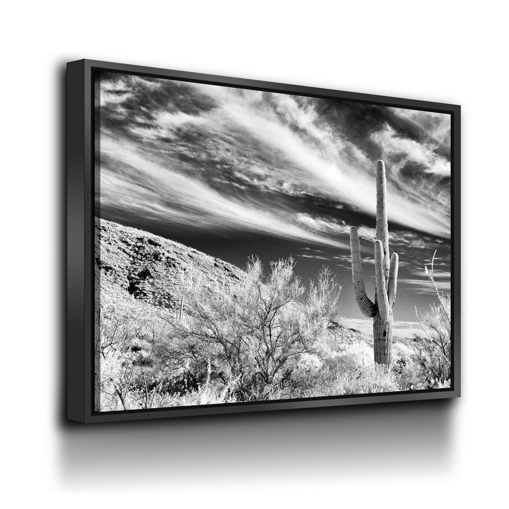Saguaro Cactus Canvas Wall Art, Black and White Saguaro Cactus Decor, Cactus Decor, Desert Art, Saguaro National Park at Tucson, Arizona - Royal Crown Pro