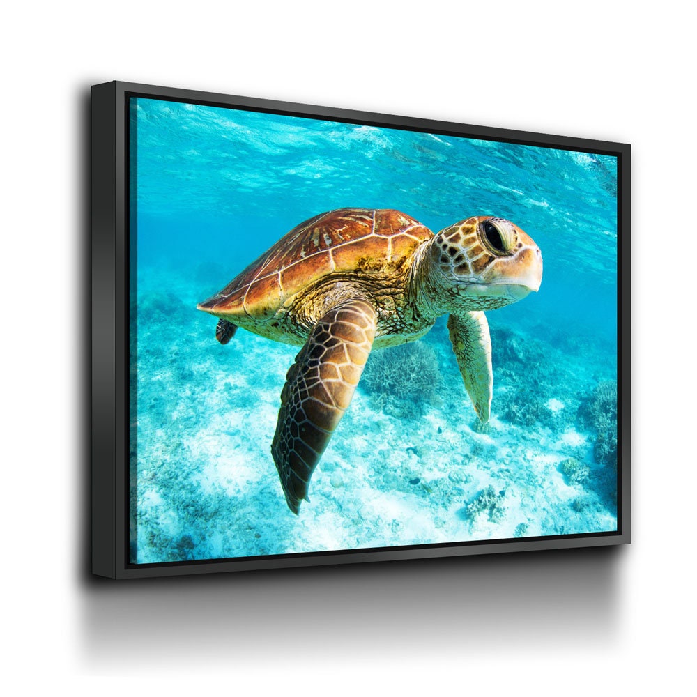 Underwater Sea Turtle Canvas Wall Art, Sea Turtle Canvas, Turtle Decor, Chelonioidea - Royal Crown Pro