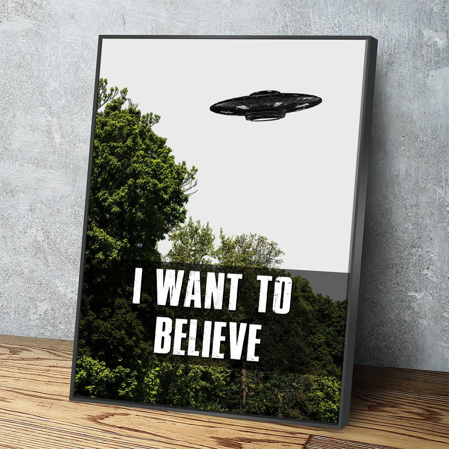 I Want To Believe Canvas Wall Art, UFO Decor, X-Files Style Design, Area 51, Alien Decor - Royal Crown Pro