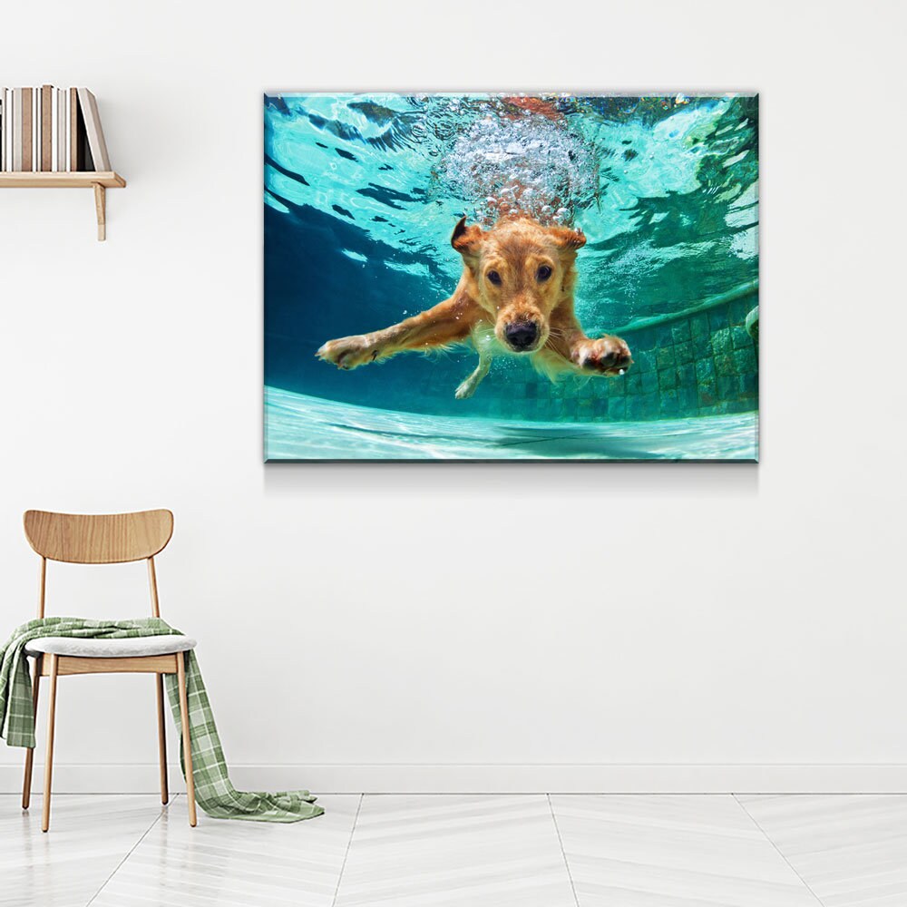 Golden Labrador Retriever Canvas Wall Art, Diving Under Water, Swimming Pool, Dog Gift, Golden Lab Print, Dog In Water