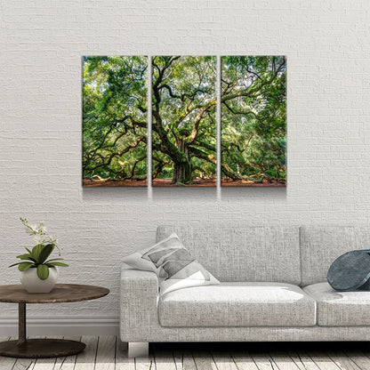 Angel Oak Tree Canvas Wall Art, Wilderness, Southern Live Oak, 3 Piece Wall Art Set, Extra Large Wall Art, Johns Island - Royal Crown Pro