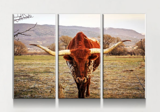 Texas Longhorn Canvas Wall Art, Ranch Art, XL Wall Art, Ranch Style Home Decor, 3 Piece Wall Art, 5 Piece Wall Art, Extra Large Wall art - Royal Crown Pro