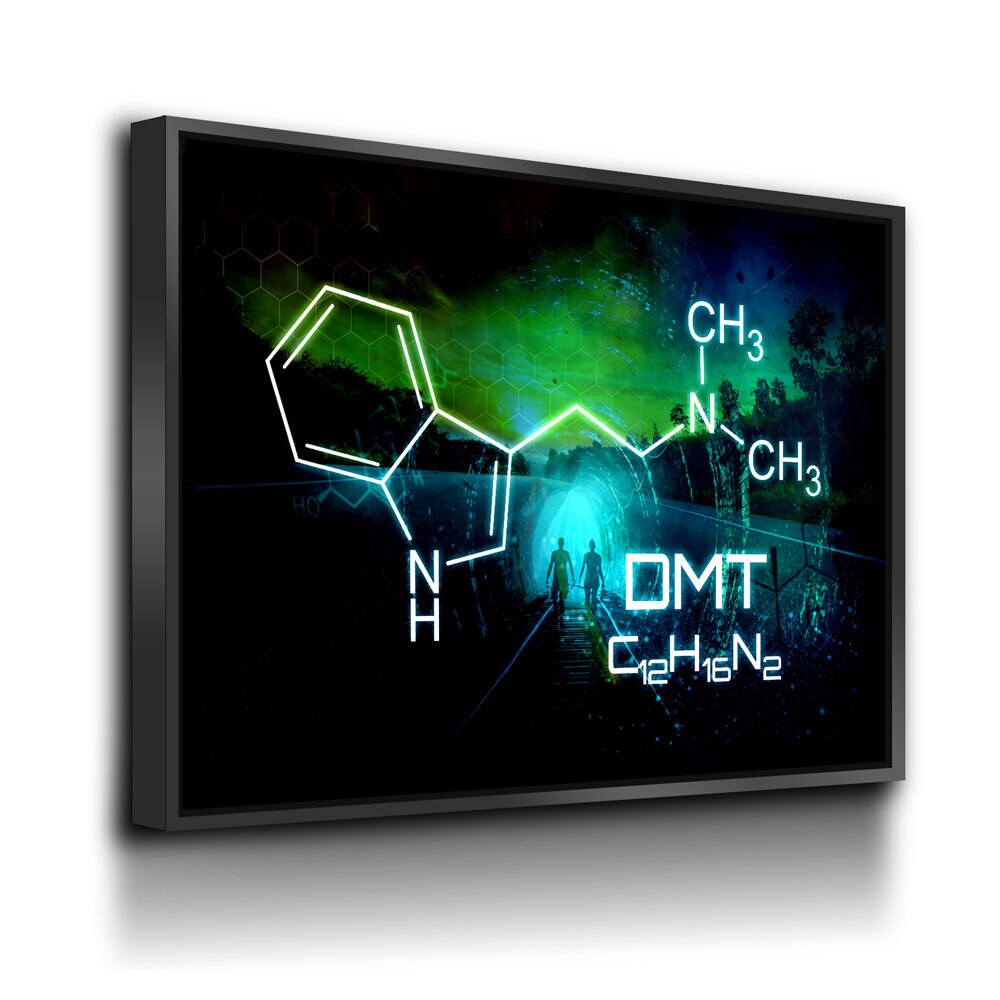 The Spirit Molecule Canvas Wall Art, Trippy Decor, Ayahuasca Decor - Royal Crown Pro