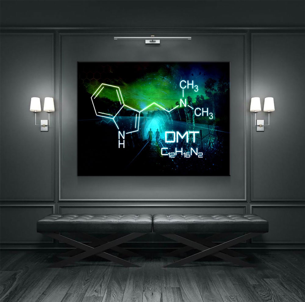 The Spirit Molecule Canvas Wall Art, Trippy Decor, Ayahuasca Decor - Royal Crown Pro