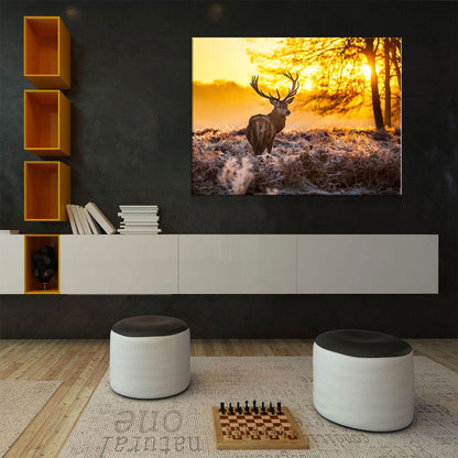 Deer Canvas Wall Art, Big Buck Sunset Hunting Decor - Royal Crown Pro