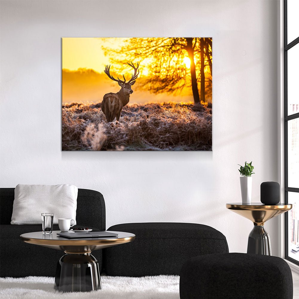 Deer Canvas Wall Art, Big Buck Sunset Hunting Decor - Royal Crown Pro