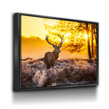 Deer Canvas Wall Art, Big Buck Sunset Hunting Decor - Royal Crown Pro