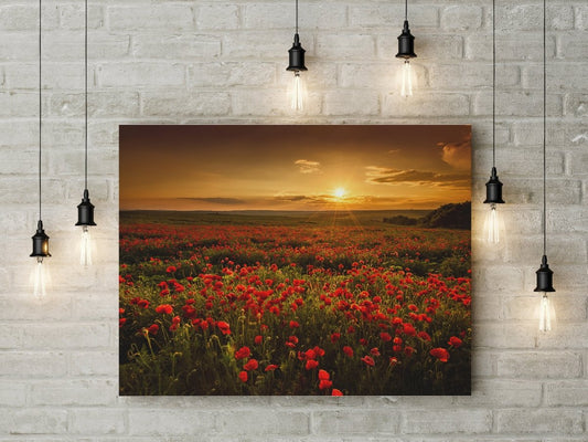 Poppy Flower Poppy Field Canvas Wall Art, Sunset Poppy Fields Art - Royal Crown Pro