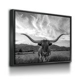Texas Longhorn Black & White Canvas Wall Art, Ranch Decor - Royal Crown Pro